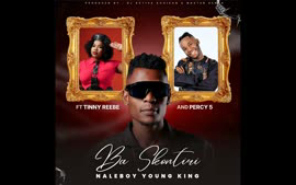 Ba Skontiri - Naleboy Young King ft Tinny Reebe, Percy 5, DJ Active Khoisan & Master Benza