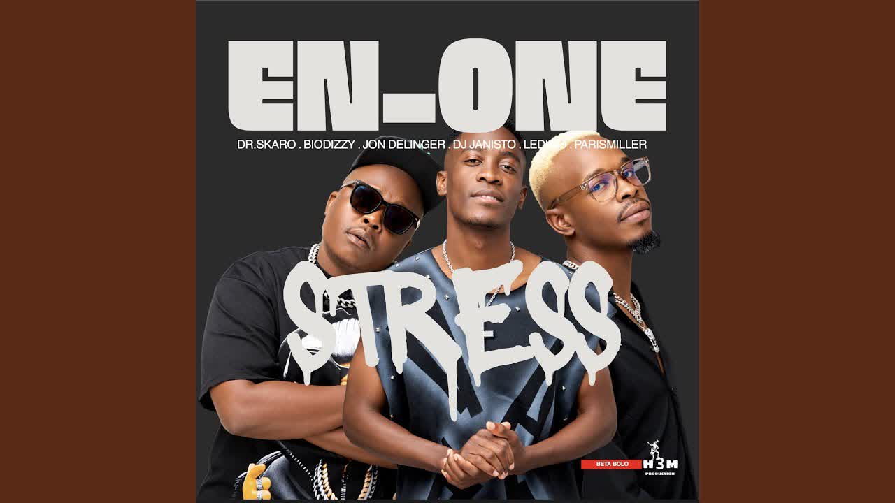 Stress·EN_ONE Dr Skaro Biodizzy·DJ Janisto · Ledimo·ParisMiller